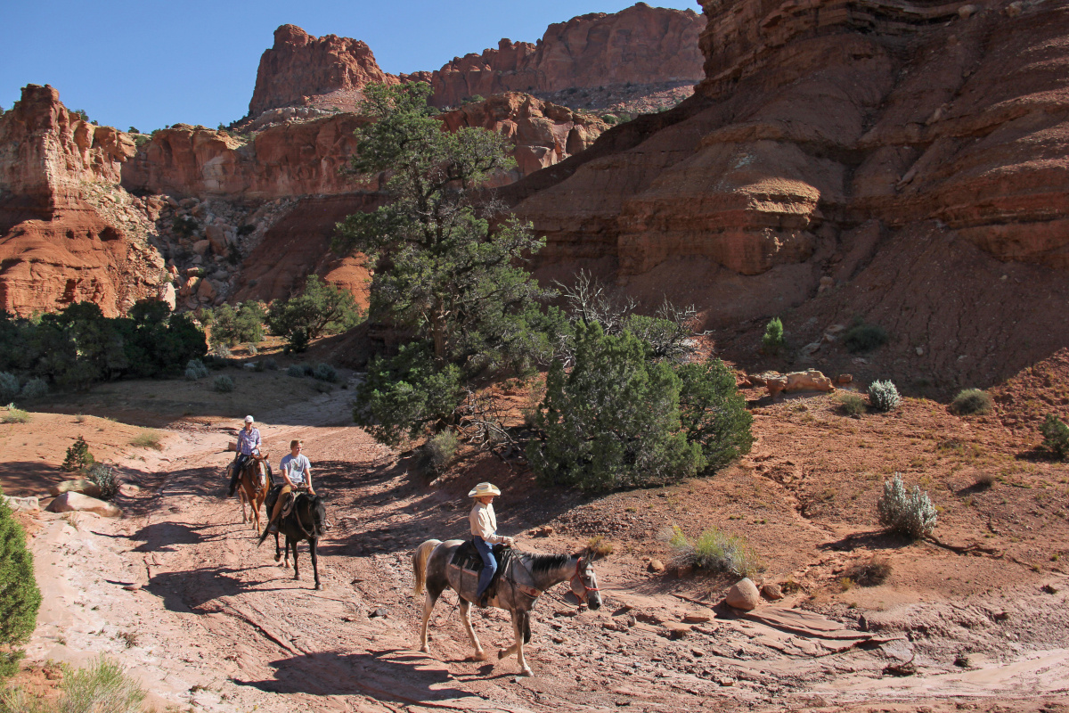 Horseback Riding, Capitol Reef Country