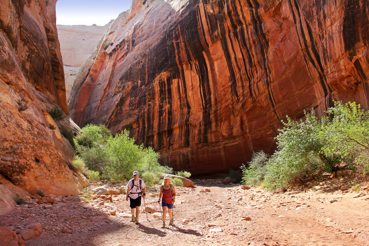 Cassidy Arch Grand Wash Arches in Capitol Reef Country