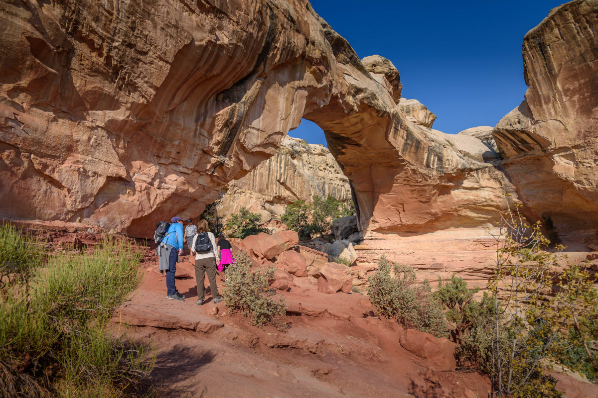 Hickman bridge 2025 hike capitol reef