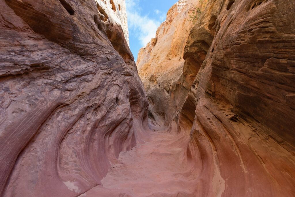 Little Wildhorse canyon trail