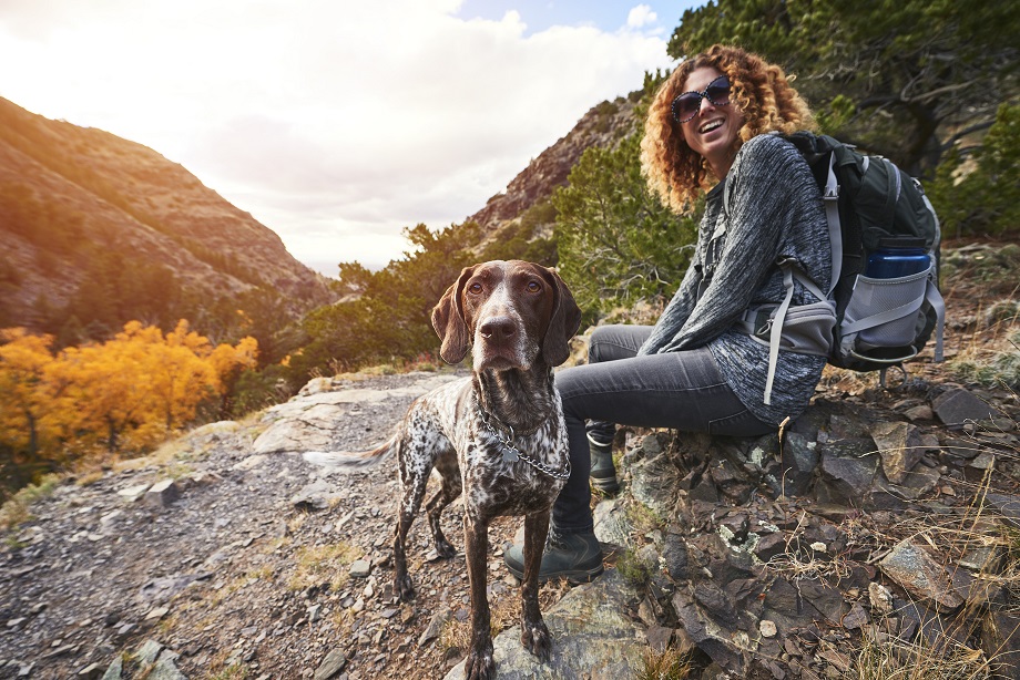 Exploring Capitol Reef with Your Four-Legged Friend