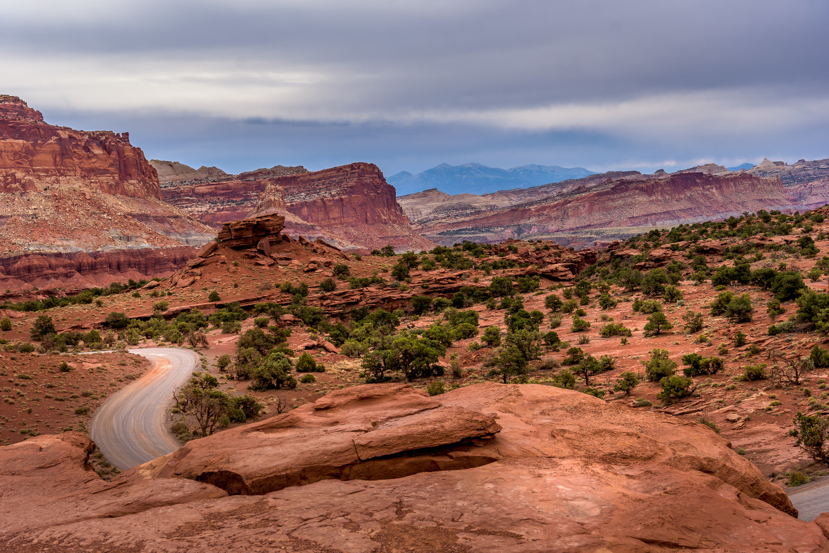 Dog friendly hikes 2024 near capitol reef