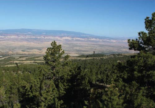 bull creek pass