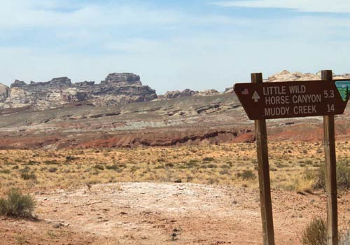 little wild horse trail