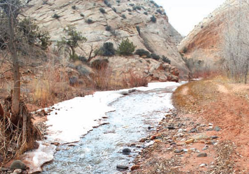 Pleasant Creek Hiking Trail in Capitol Reef National Park near