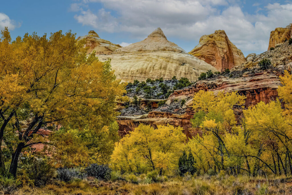 Fall Activities | Capitol Reef National Park | Capitol Reef Country