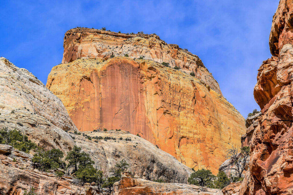 Golden Throne Capitol Gorge