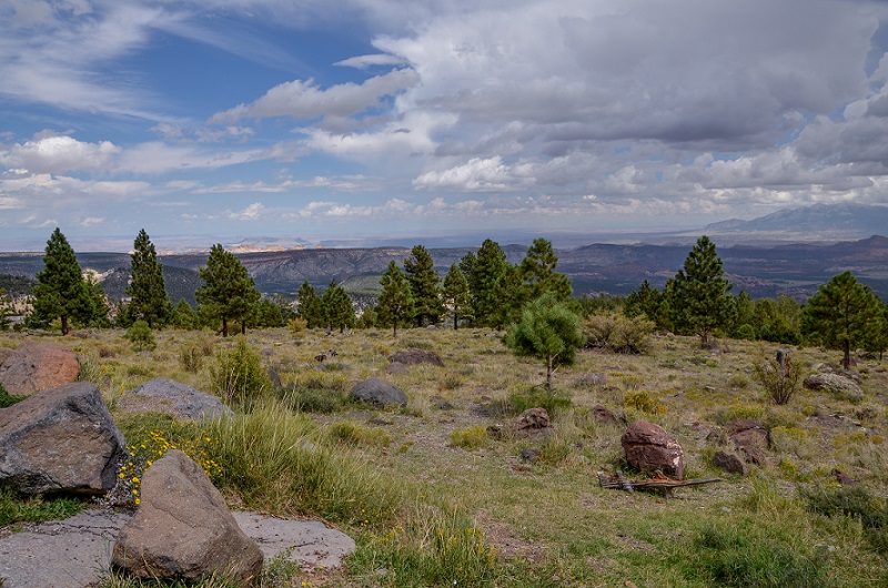 Boulder Mountain Scenic Highway 12