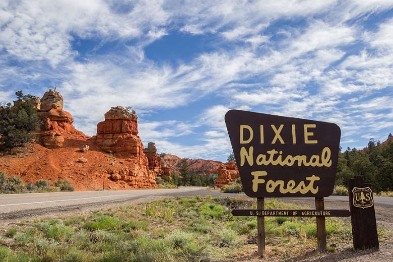 DIxie National Forest Highway 12