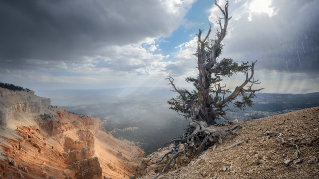 Capitol Reef Photography Tours