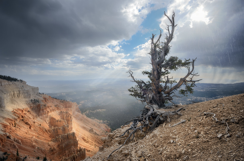 Capitol Reef National Park History 3 Image