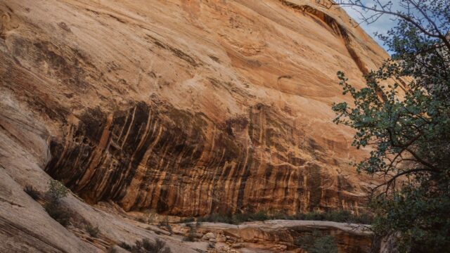Grand Wash