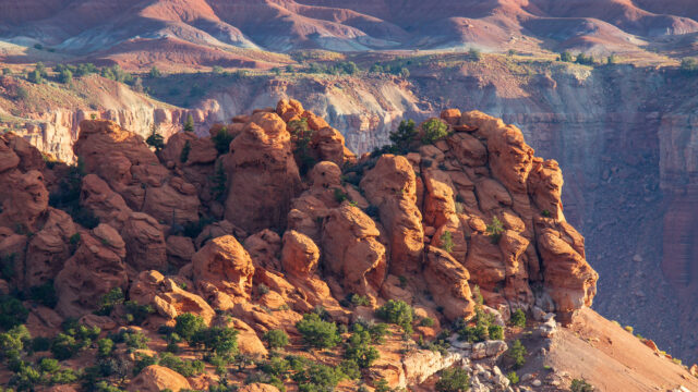 Velvet Ridge