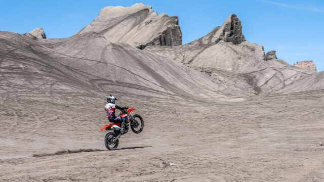 Swing-Arm-Motorcycle-D-1200