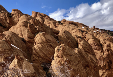 Capitol Reef Outfitters