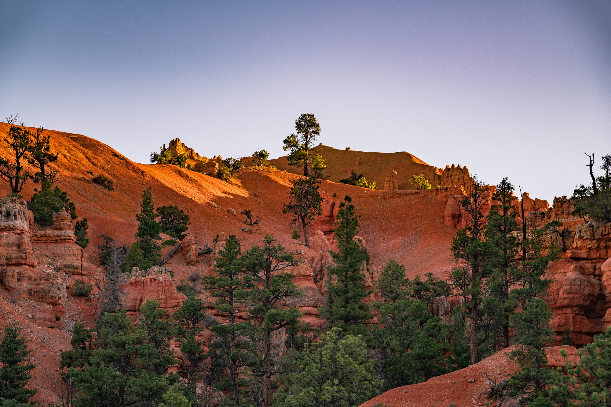 Dixie National Forest