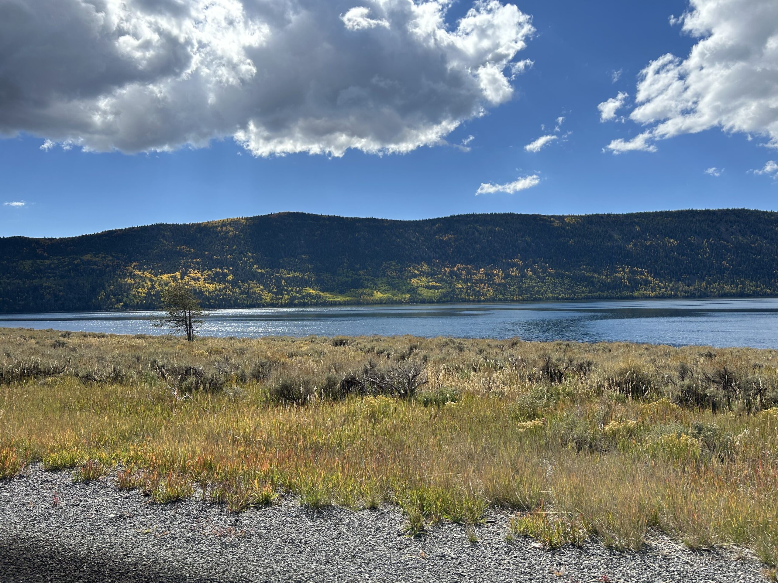 Fish Lake